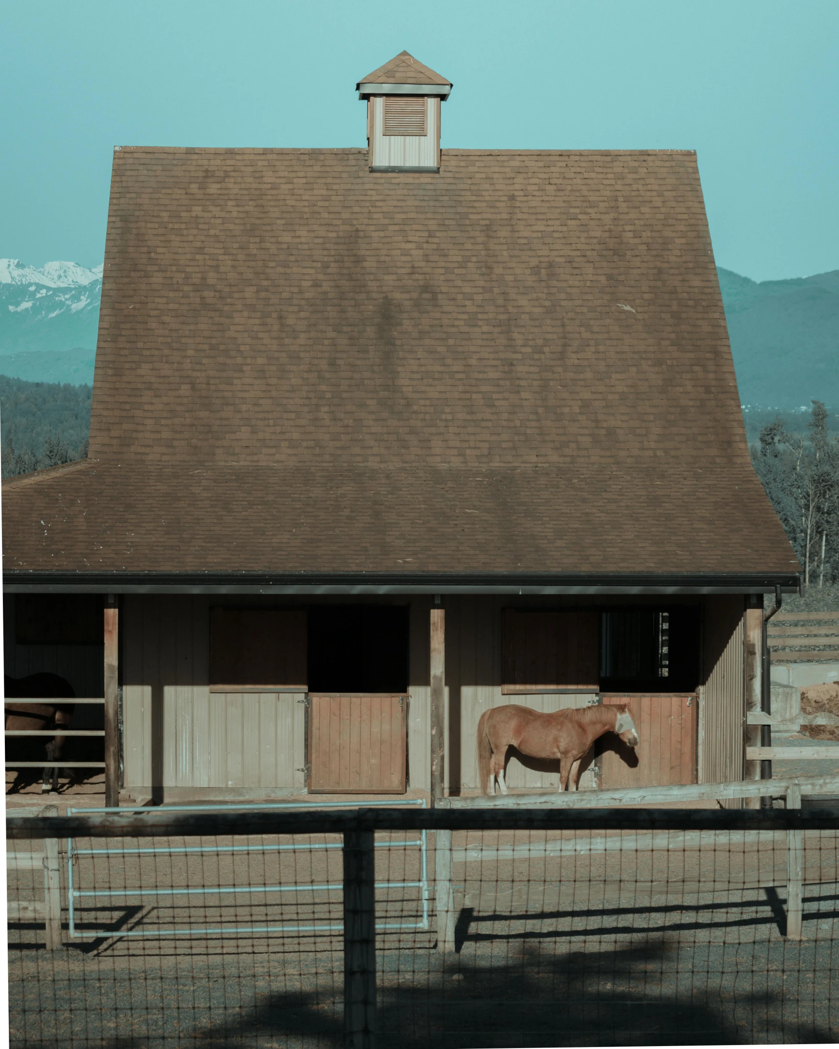 a brown horse standing in the shade at a stable