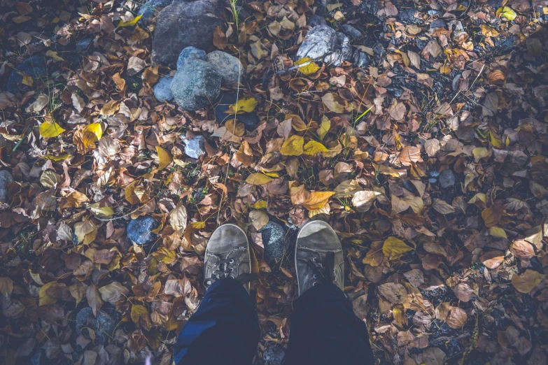 a pair of feet on a leaf strewn ground
