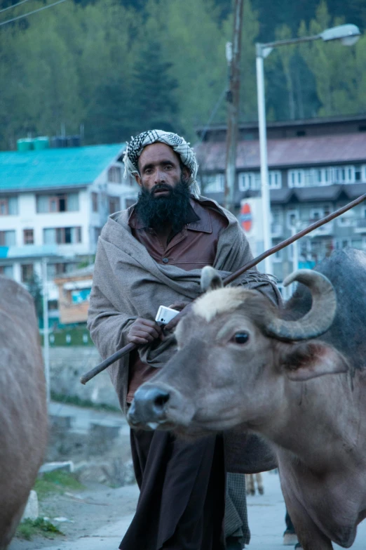 a man in a turban standing next to a cow