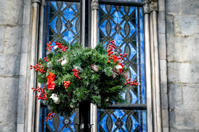 red berries and white berries adorn a evergreen wreath
