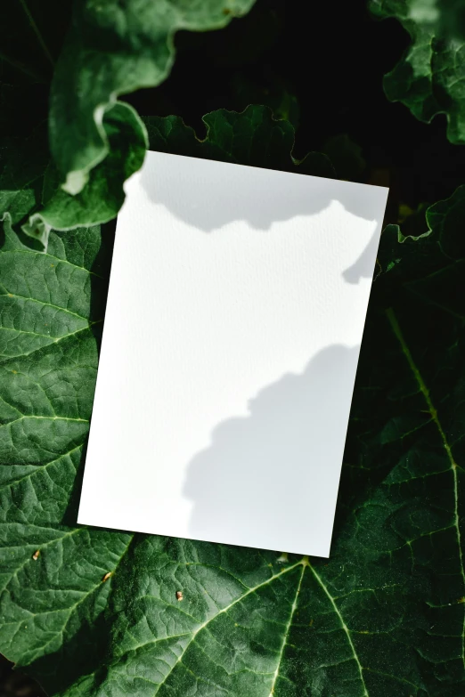 a card stuck in the center of some green leaves