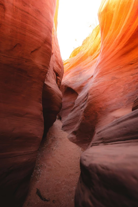 an empty, narrow passage in the sand through a wide canyon