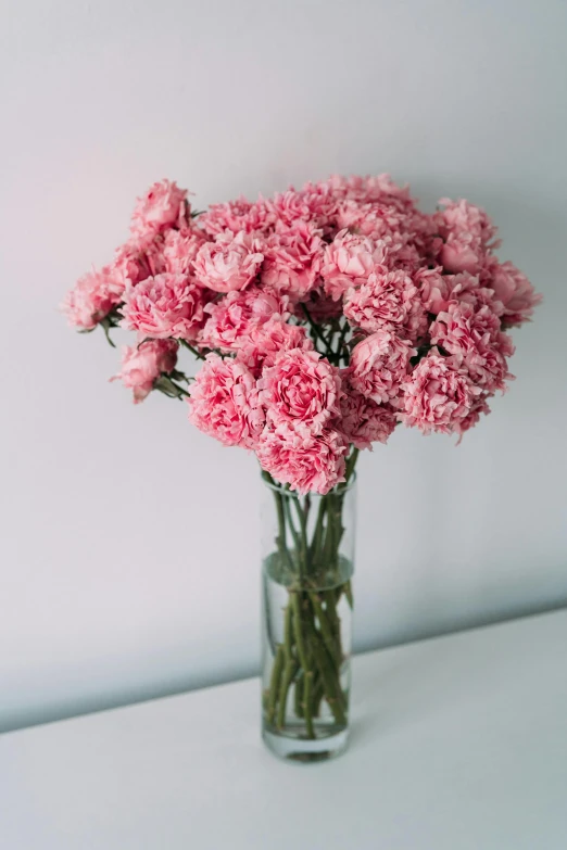 a bouquet of pink carnations in a clear glass vase