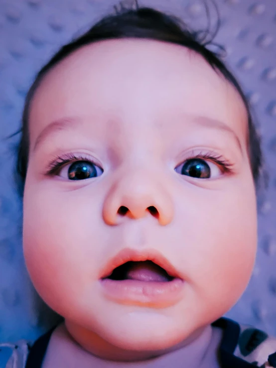 this little boy looks surprised with his frecked collar