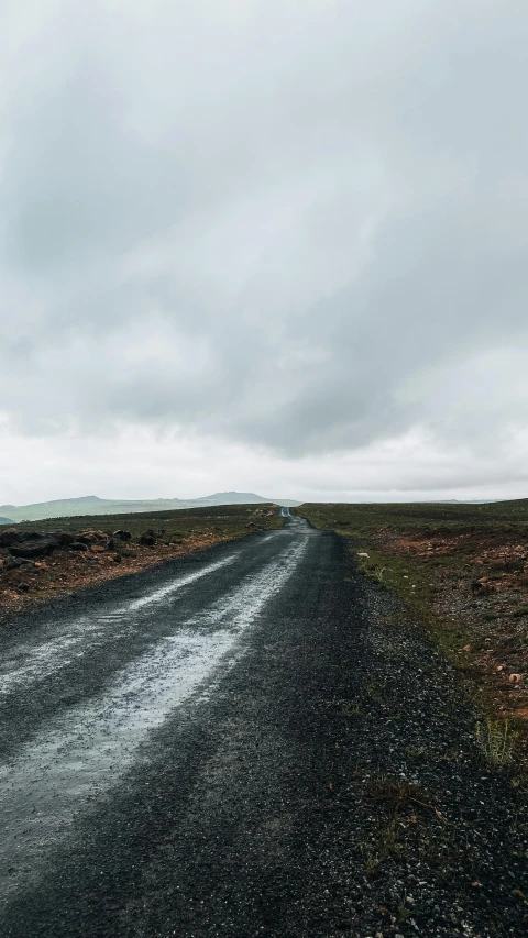 a wet road winds through an empty field with a lone tree on one side