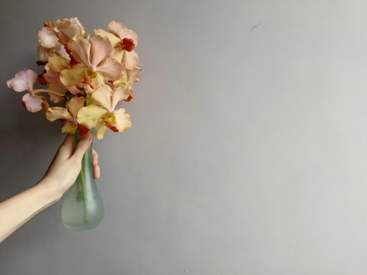 a person holding flowers up on the wall