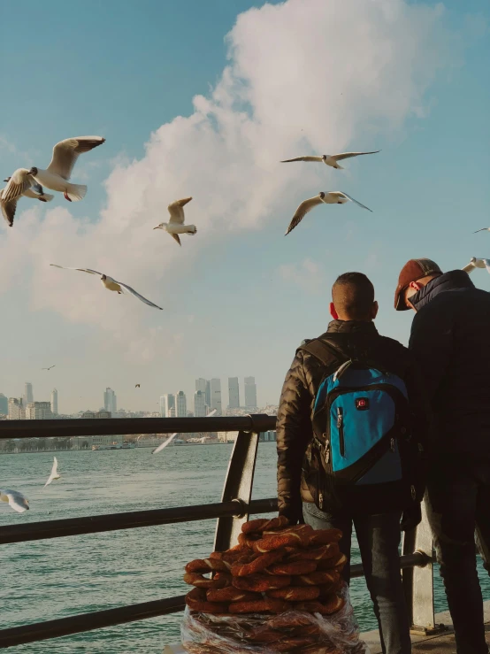 two people are looking at seagulls in the air