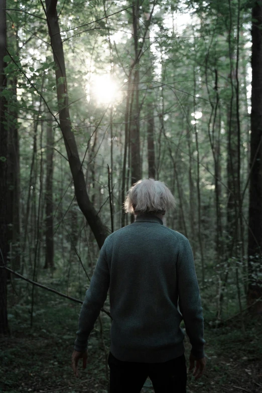 a person walking through a forest filled with trees