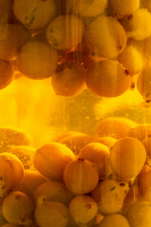 a picture of a glass container filled with fruit