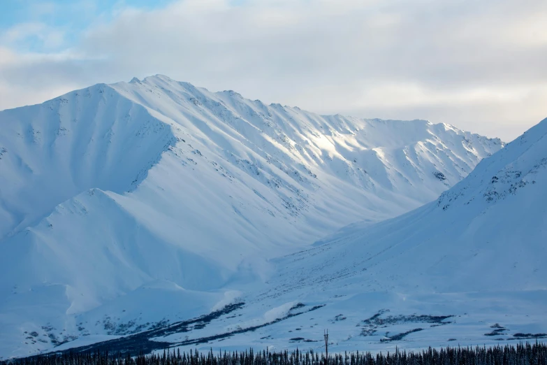 snowy mountain ranges with trees on the bottom of them