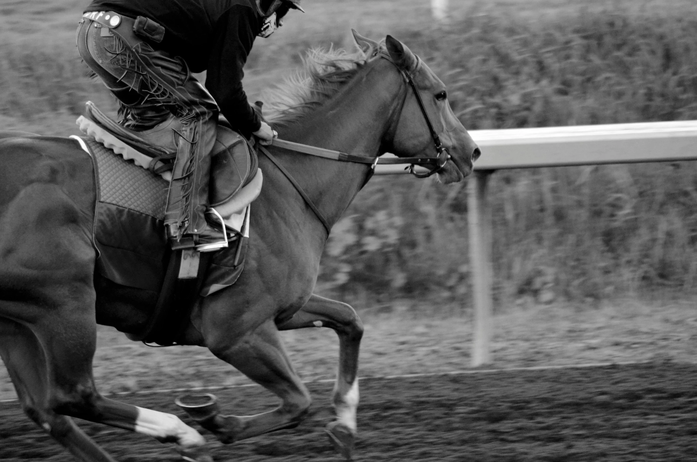 a person on a horse going down a track