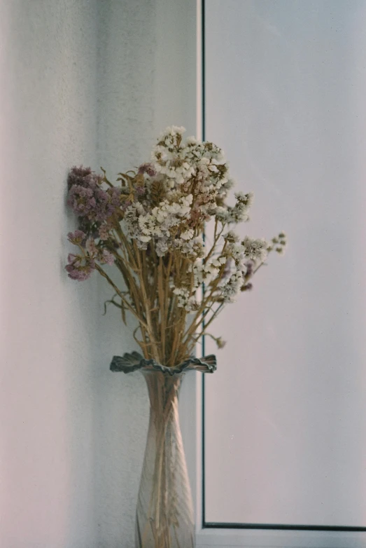 a vase with flowers sits against a white wall