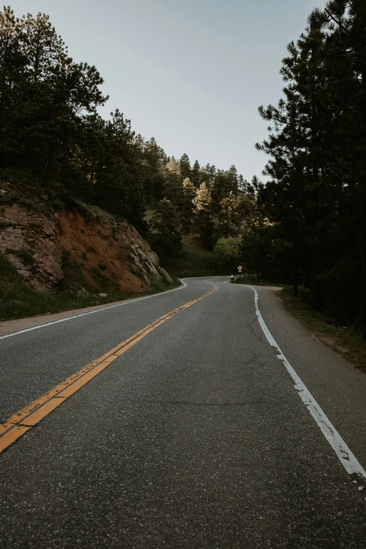 a empty road with yellow lines near the trees