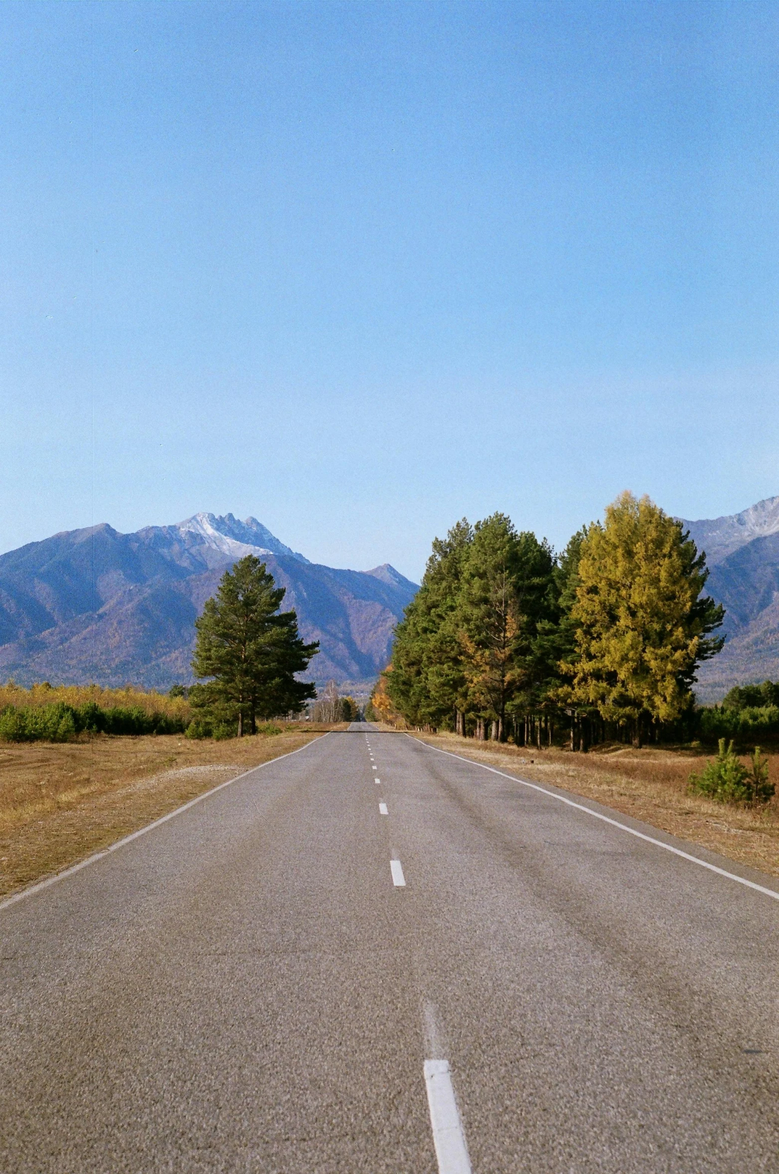 the view from the back of a car going down a long straight road