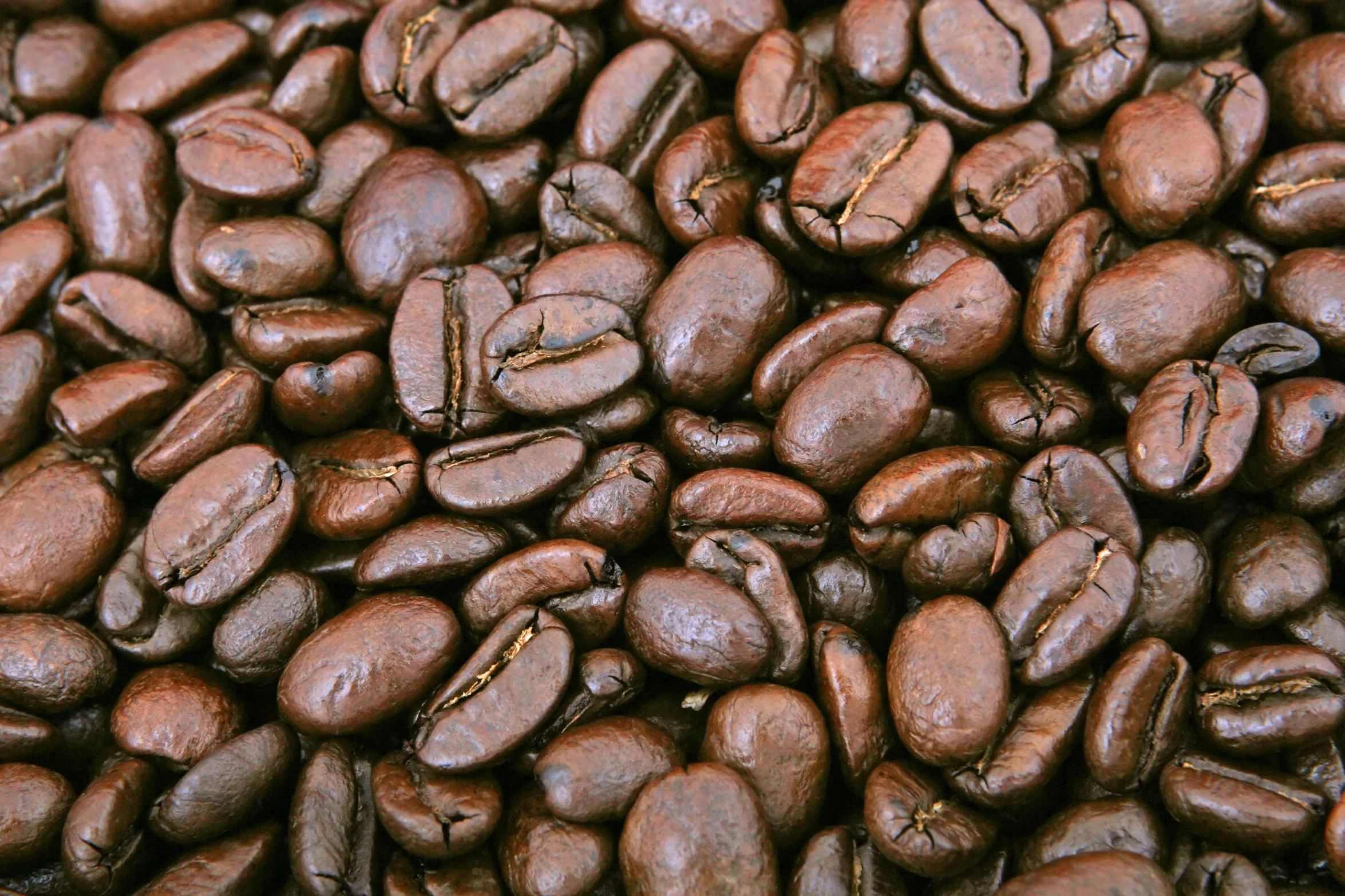 closeup of roasted coffee beans with brown spots