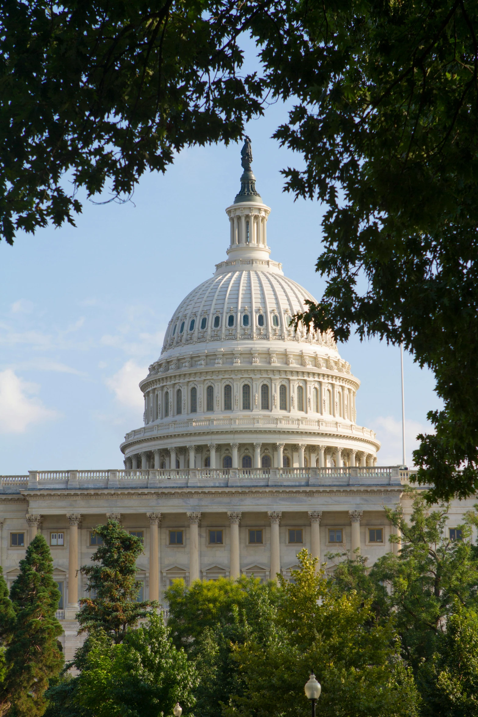 the capitol building in washington dc is shown through trees