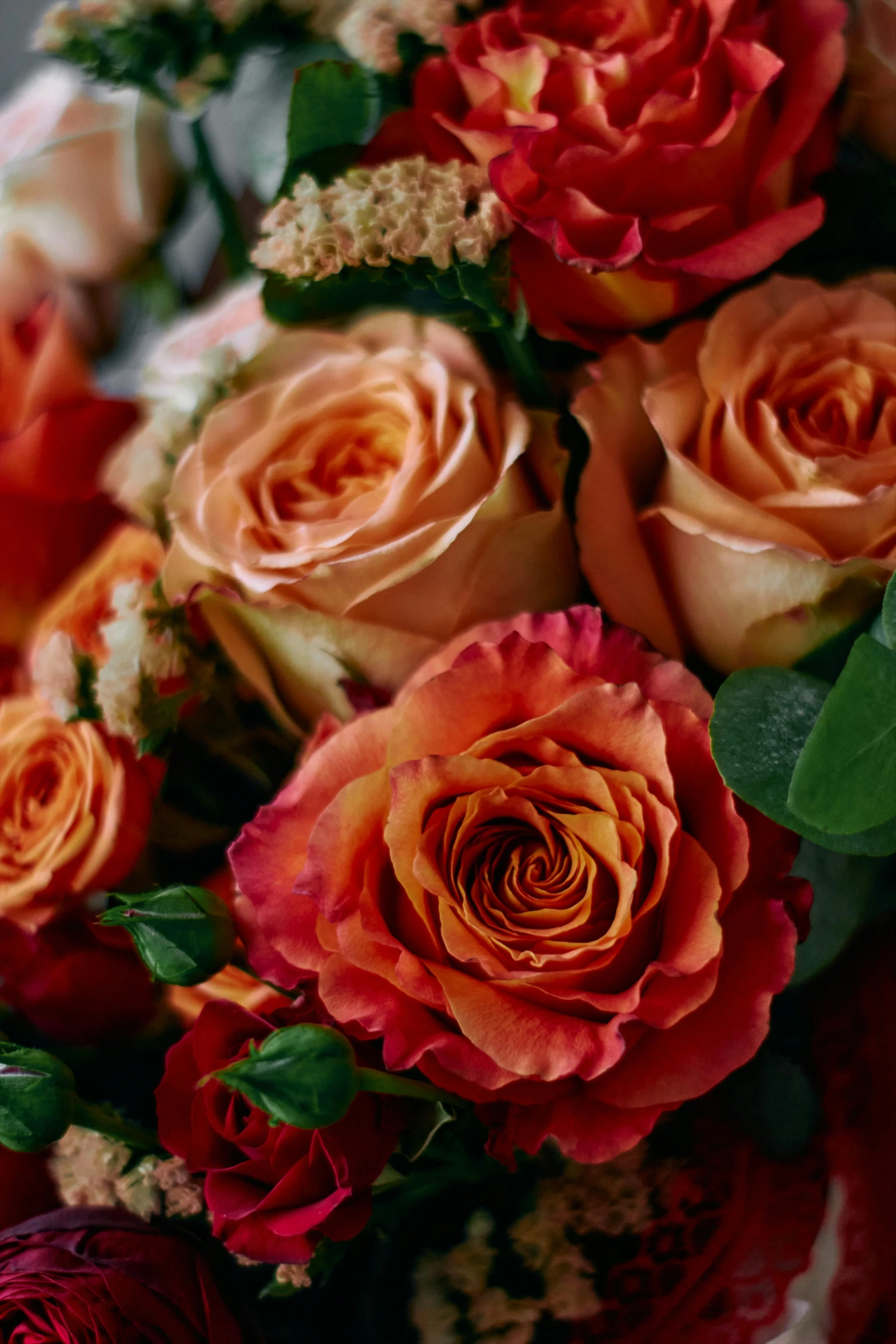 a vase with several roses and a bunch of green leaves