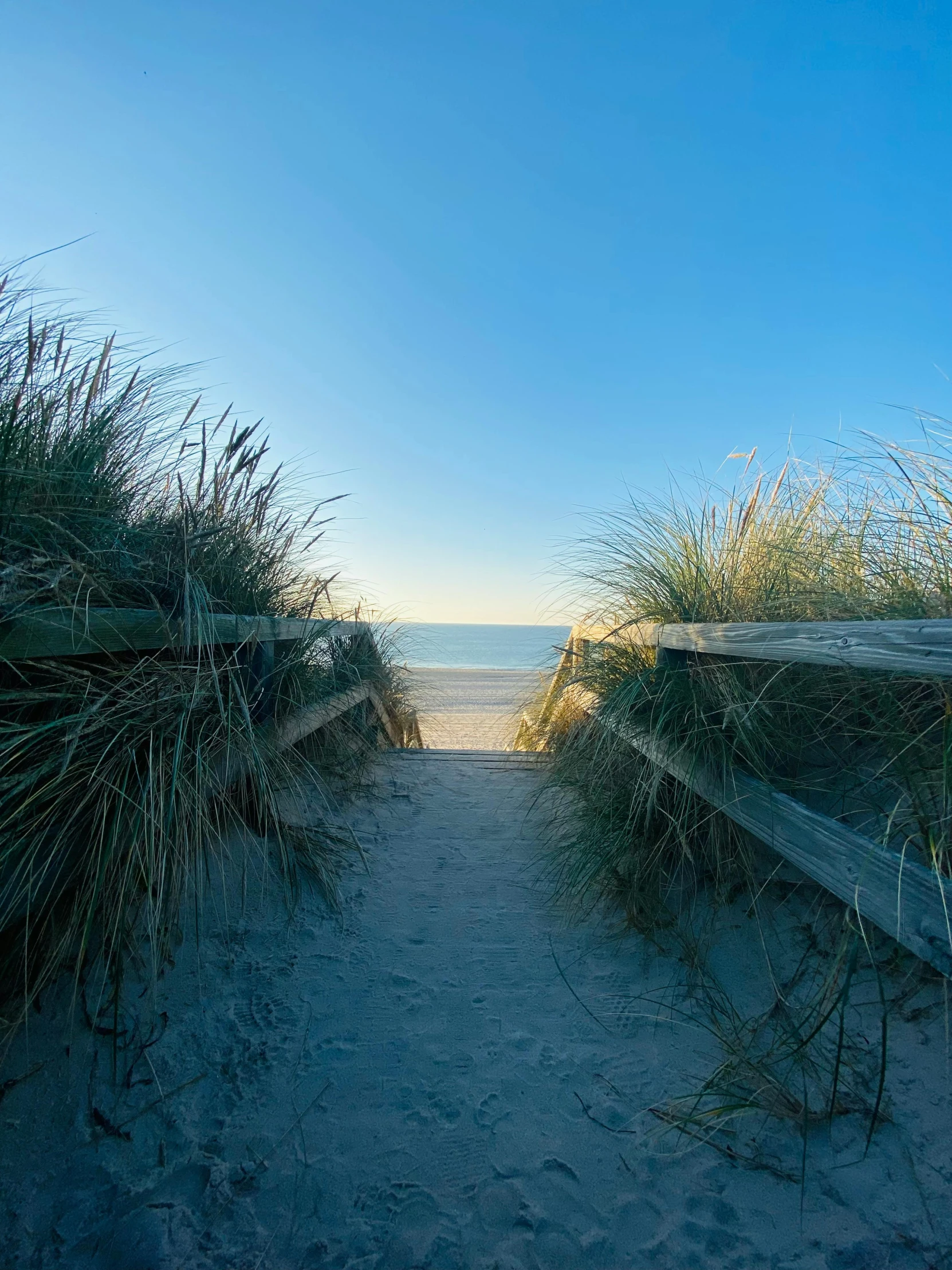 an empty path going to the beach