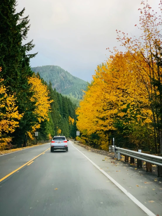 a vehicle driving down a long road past yellow and green trees