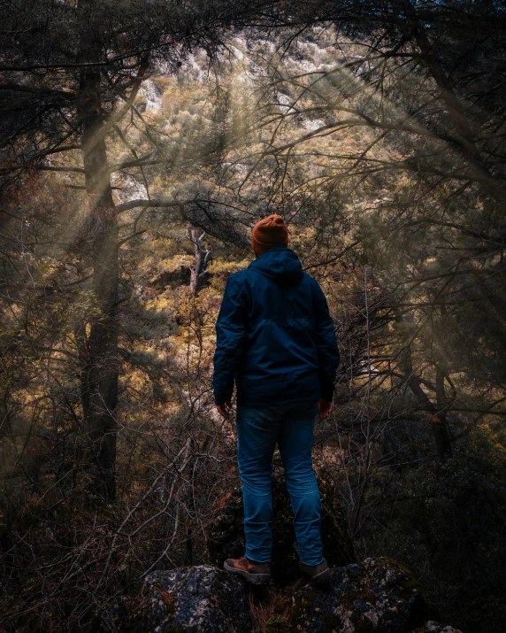 a person standing in front of trees looking at the woods