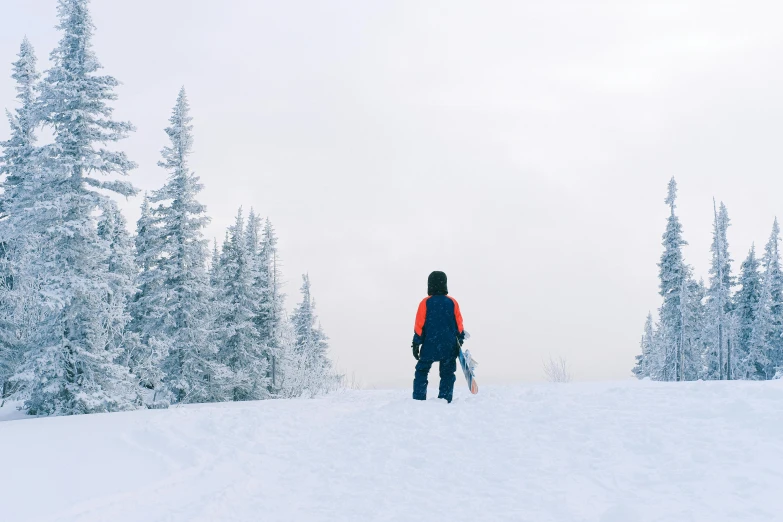 a person with skis looks out into the distance