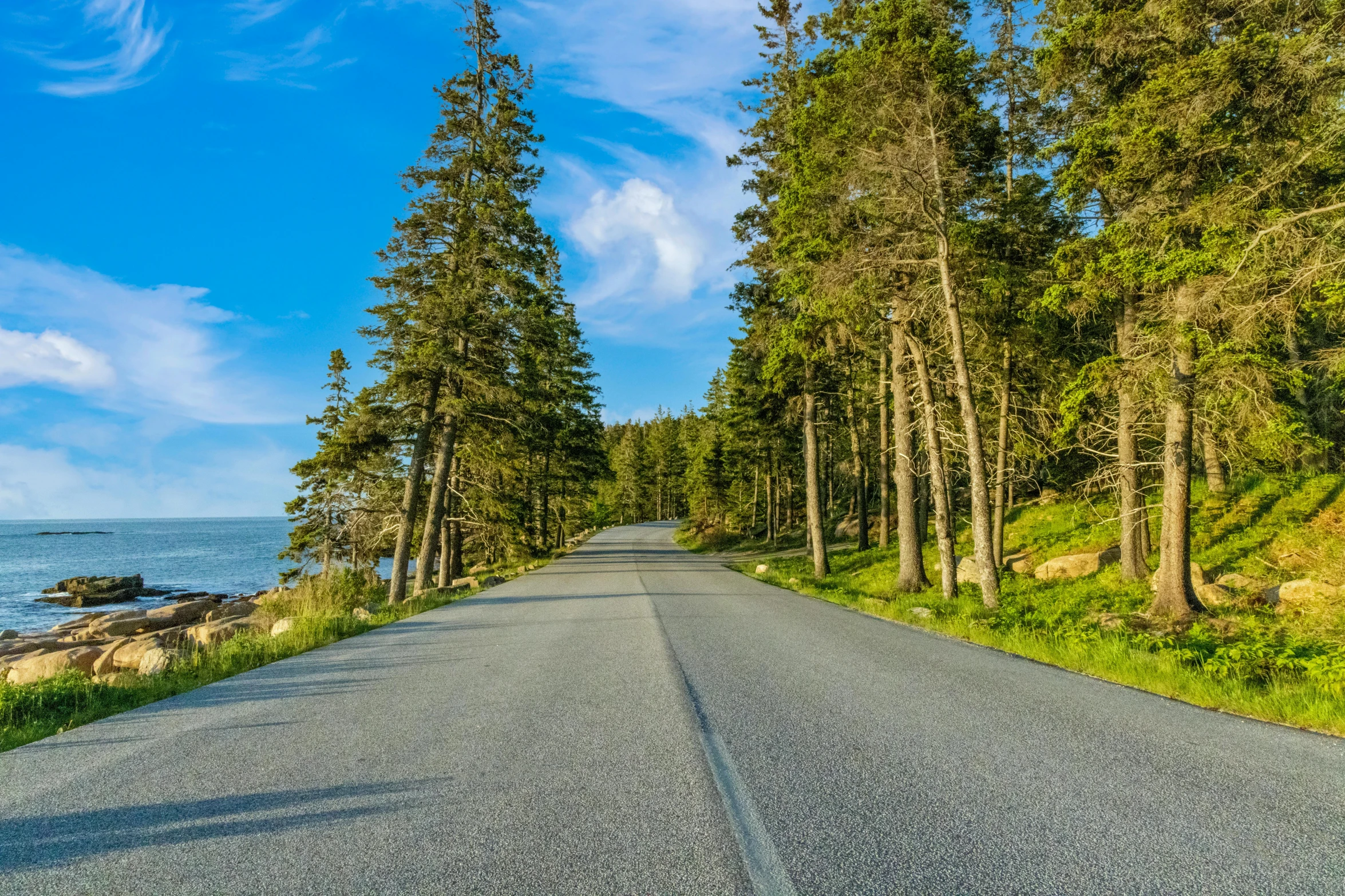 an empty street with some trees in the foreground