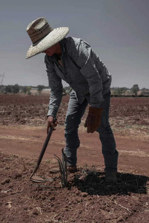 the old farmer uses a shovel to dig out the ground