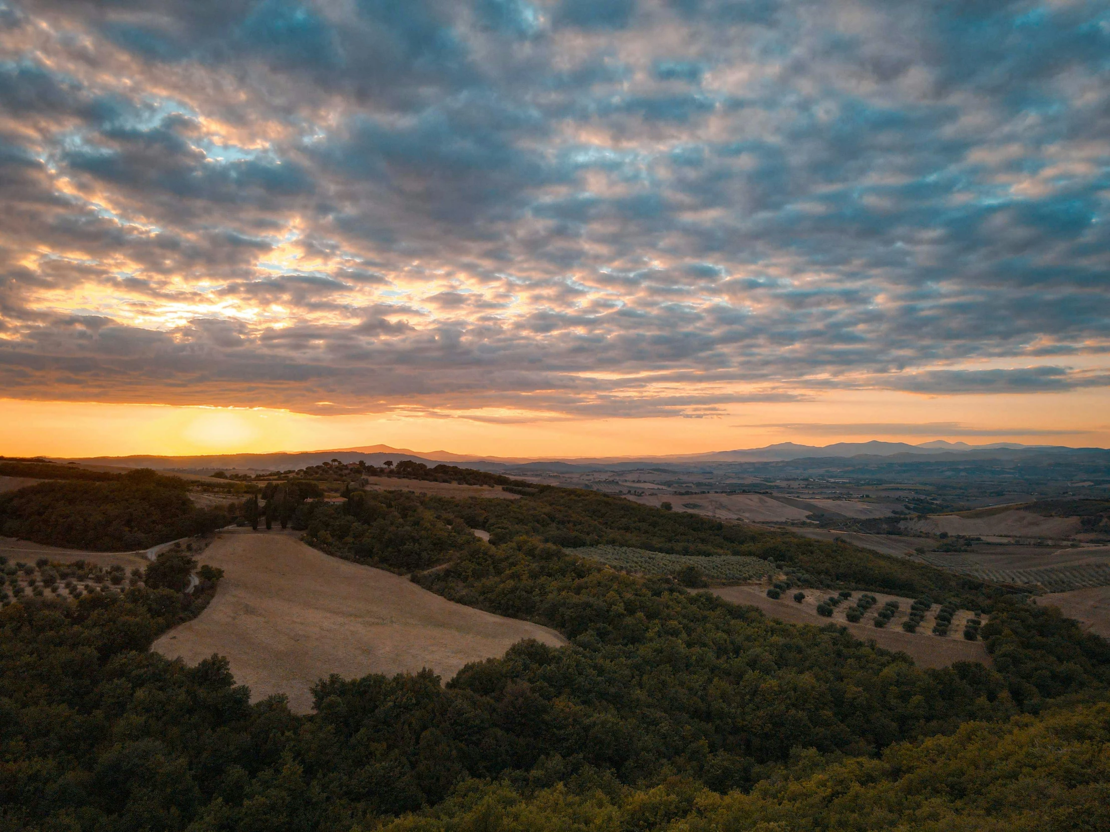 a sky full of clouds at sunset over an orchard