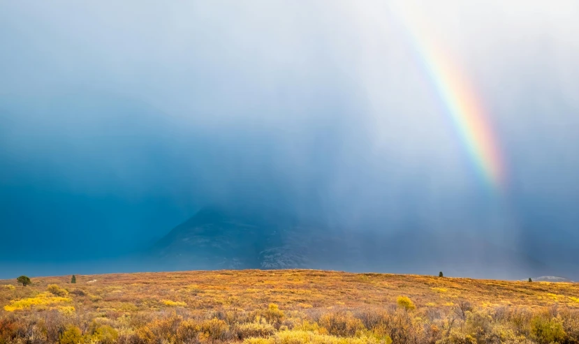 a rainbow shines in the distance across a field