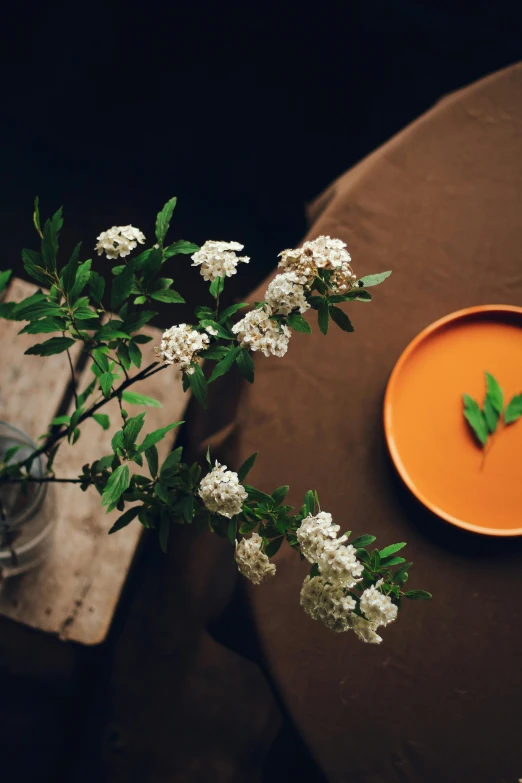 a vase with flowers in front of a brown plate