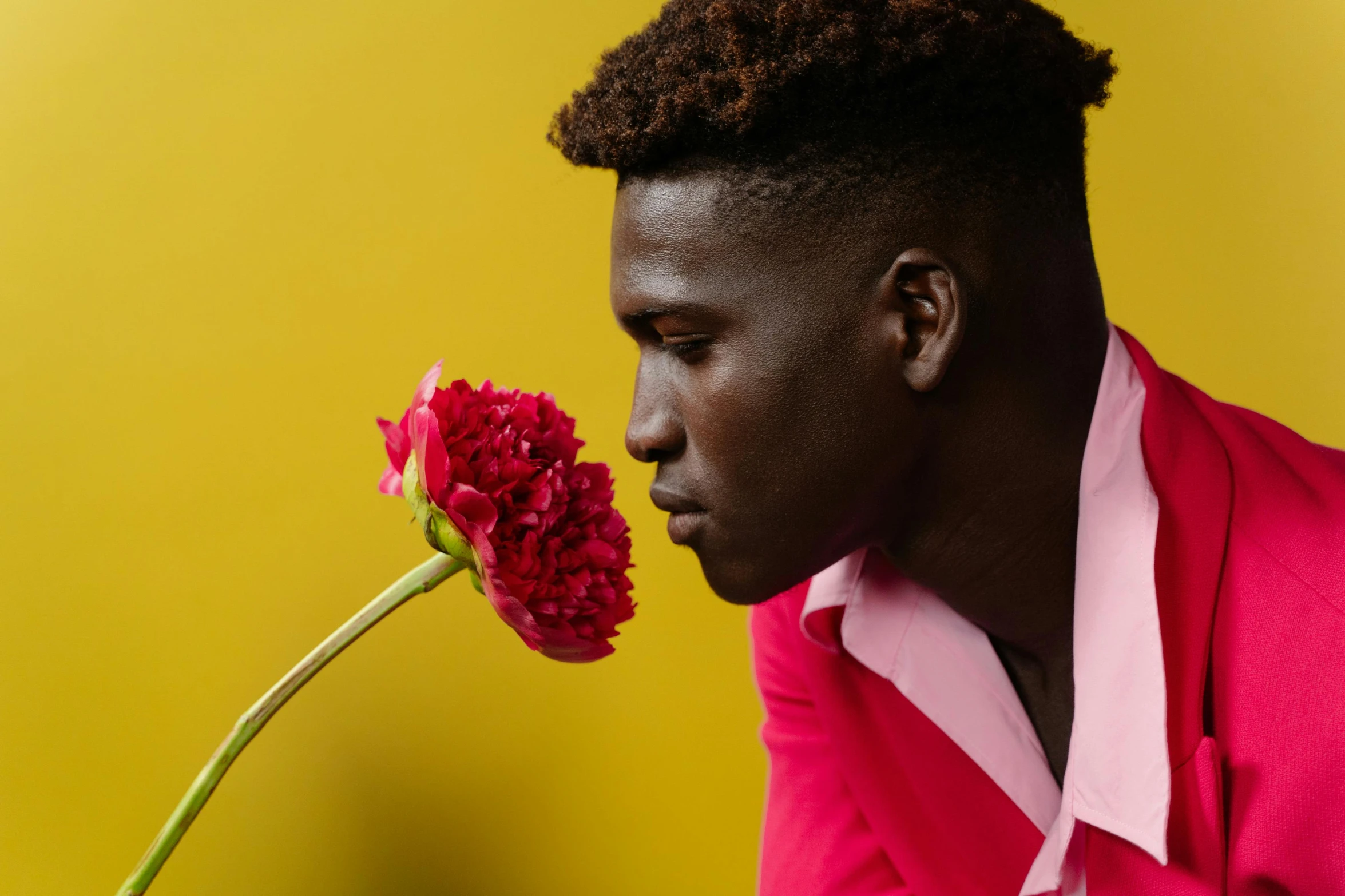 an african american male holds up a single carnation flower