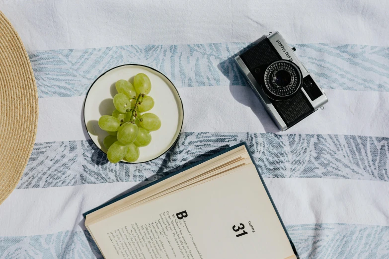 an open book, camera and gs on a plate