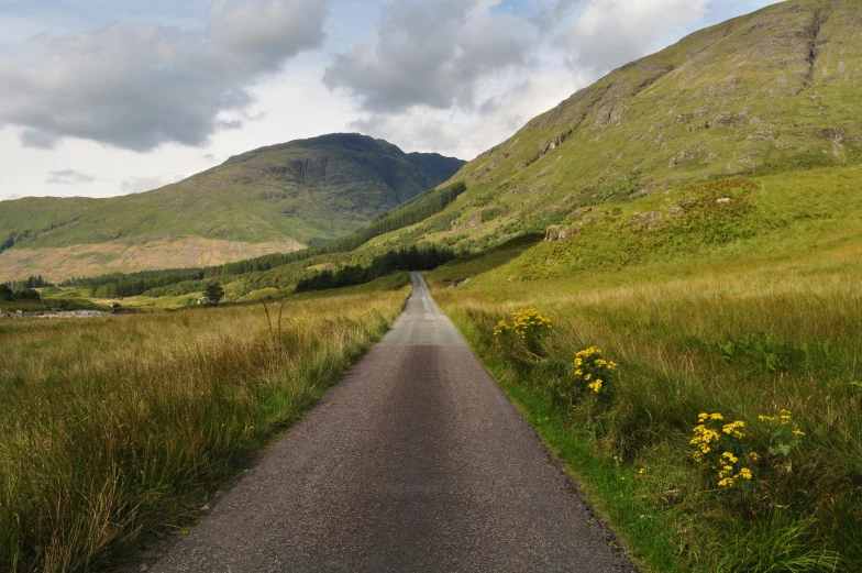 a road with a hill in the background