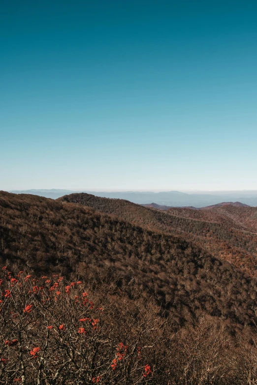 two people stand on top of a mountain