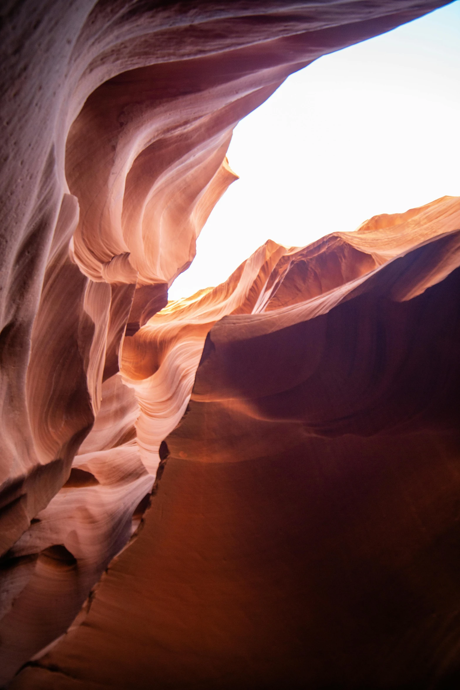 the light comes from the horizon as the shadows show the rock face