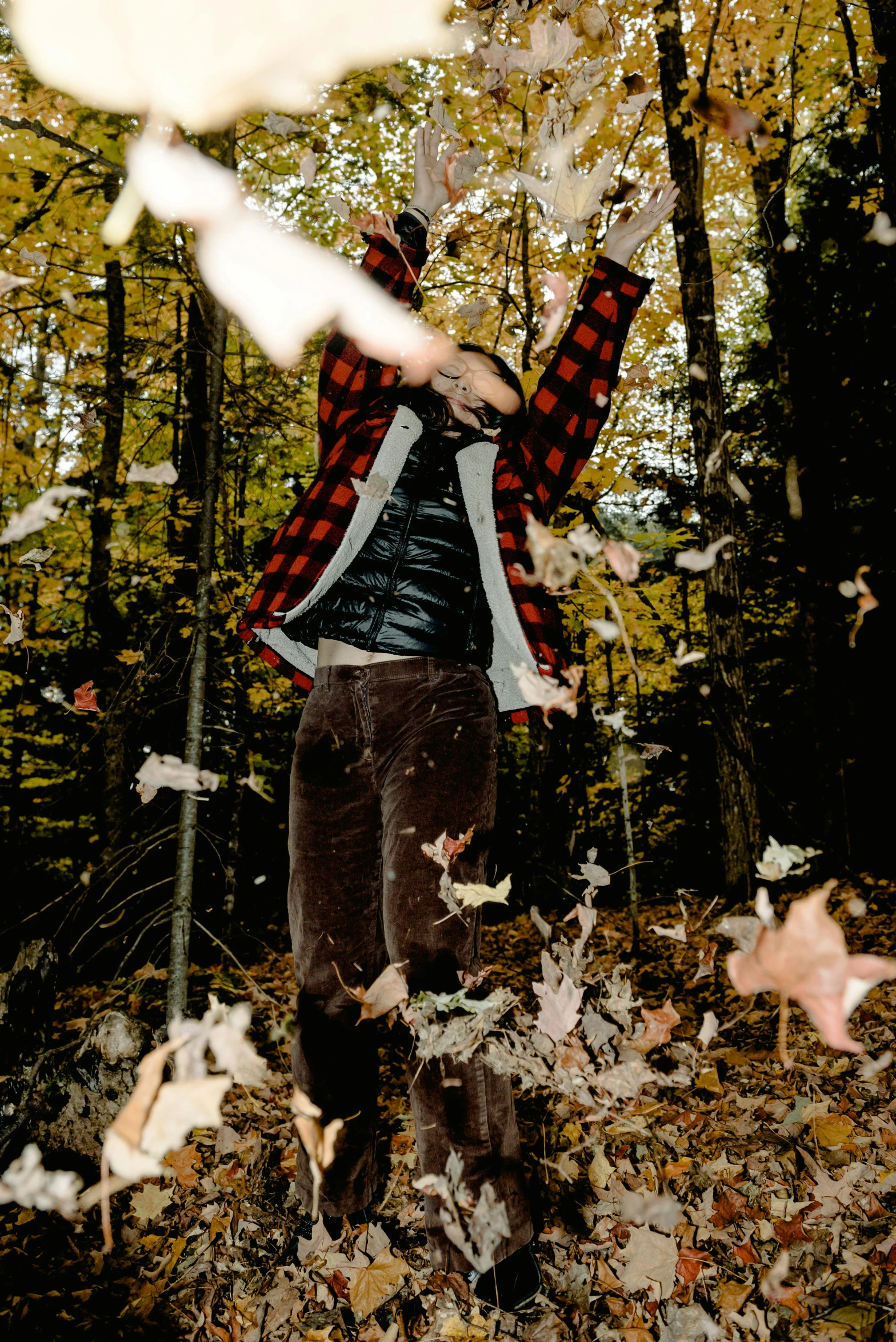 a man stands in leaves that fall in a wooded area