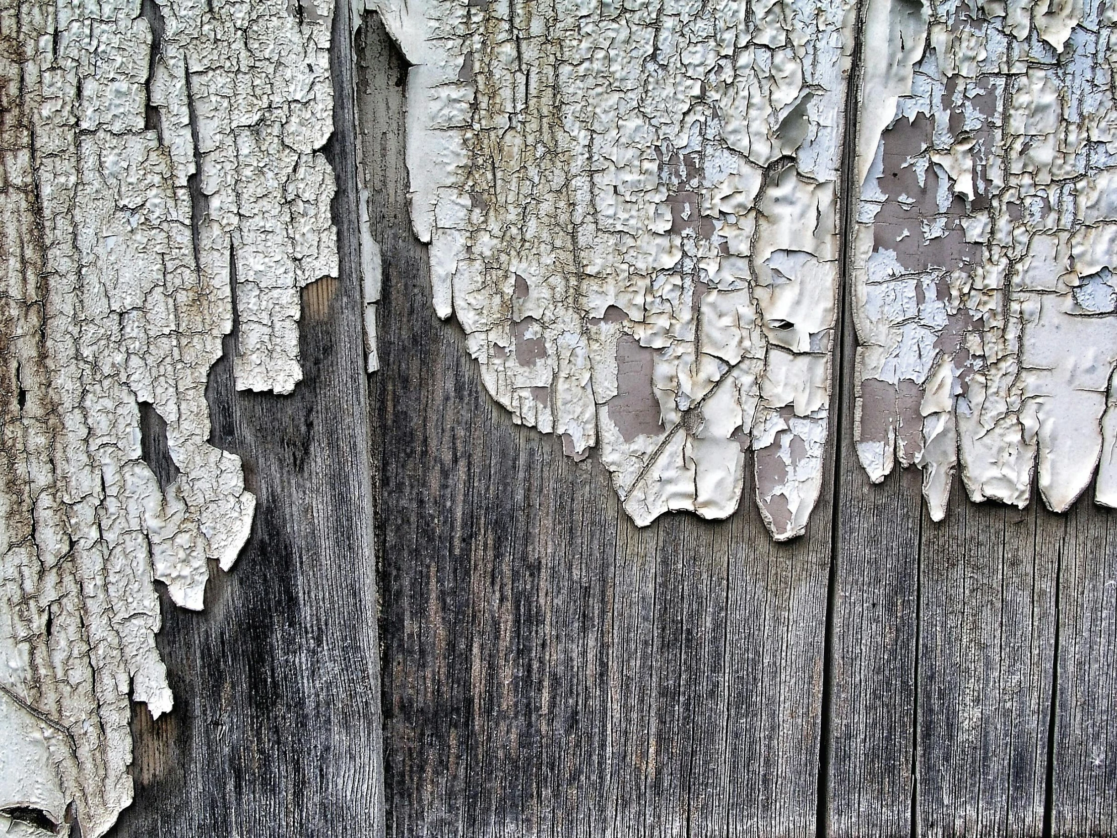 a ed wood wall with white paint and wood chipping