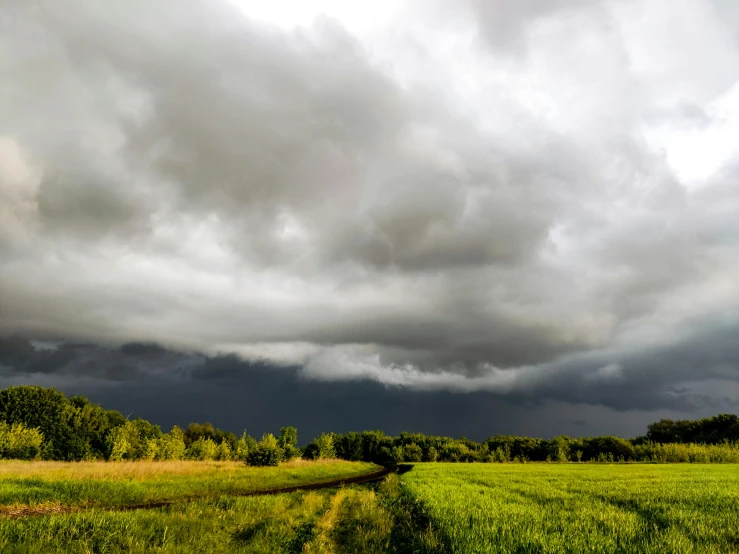 a green field and a stream are shown on this cloudy day