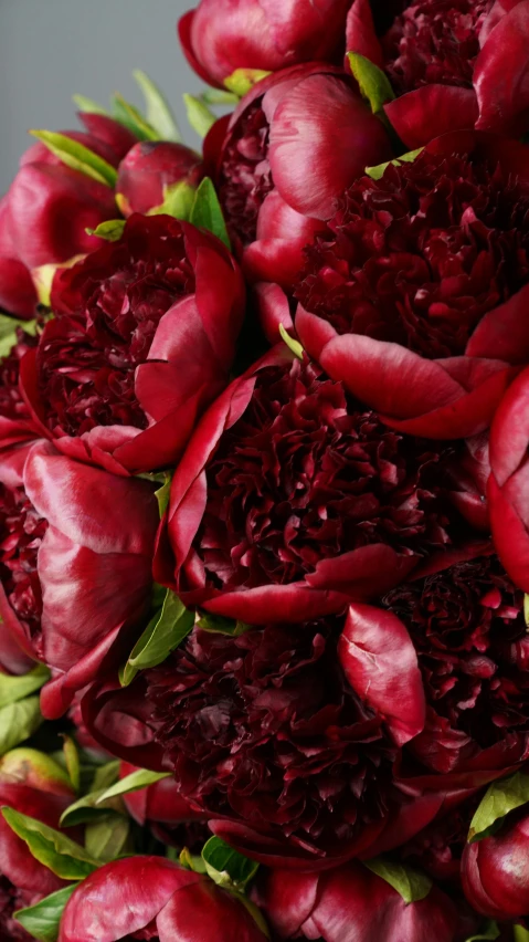 a bouquet of red flowers is shown in this po