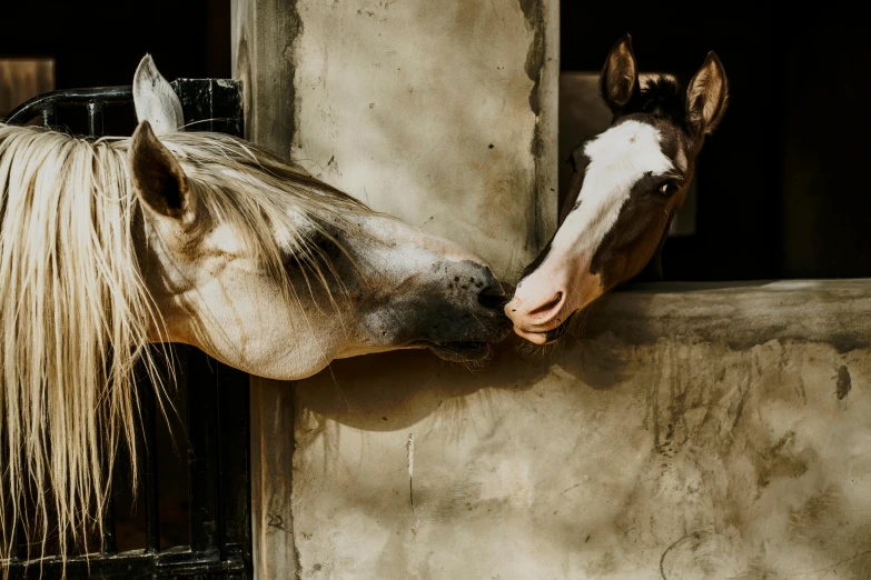 a horse with blond hair sticking it's head out a window