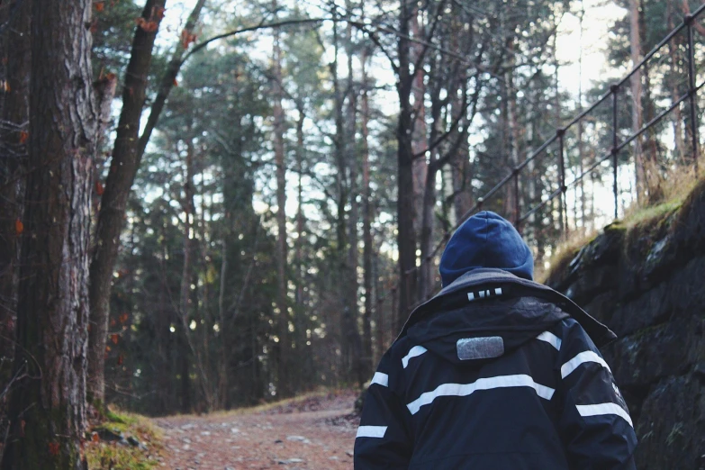 a person on a path walking through a forest