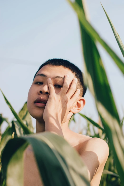 a young man hiding behind a tall grass