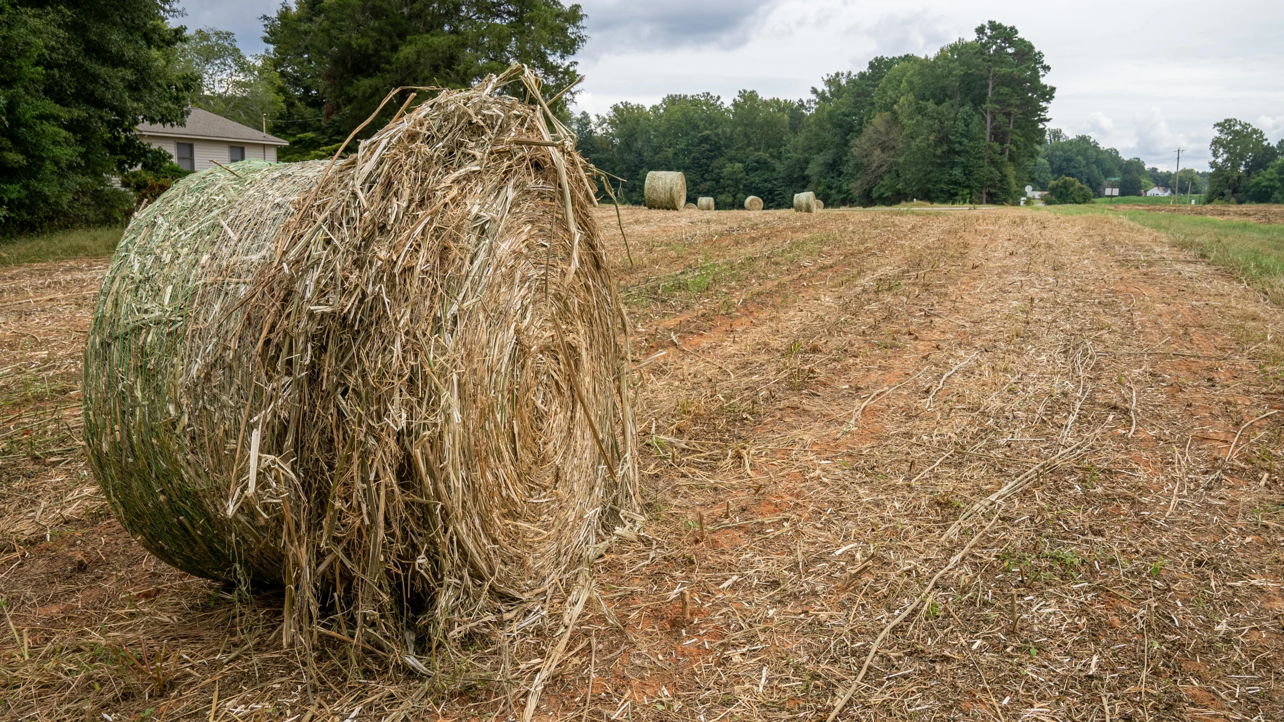 a bale of hay sits in a field