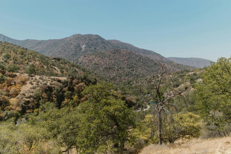 a view from a wooded area of mountains and trees