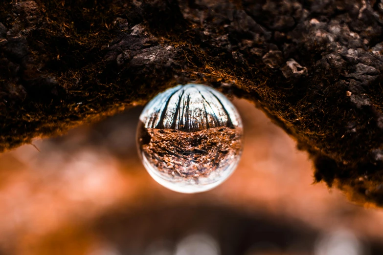 there is an unusual glass orb in the ground