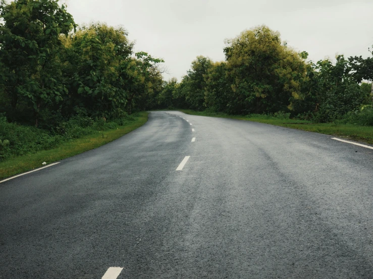 an image of an empty road with green trees