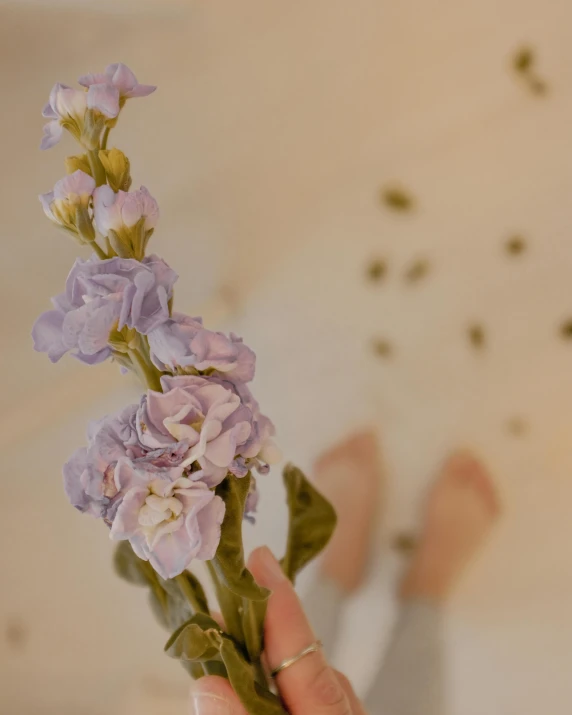 a close up of a person holding a plant