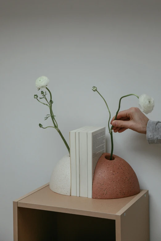 a hand holds a book over a vase with three flowers