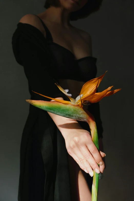 a woman in a black dress holding a flower