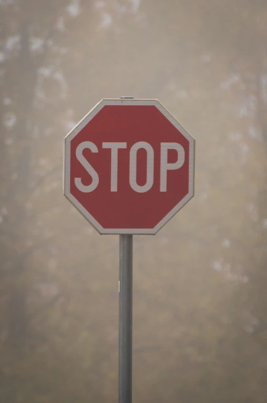 the stop sign has a faded background in the background